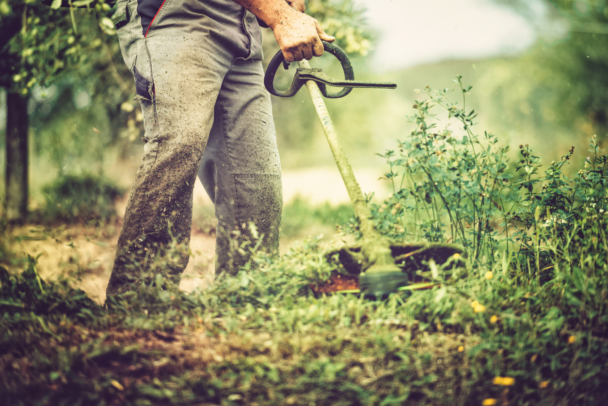 mows the grass